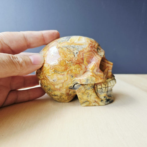 Crazy Lace Agate Skull | The Happy Guardian