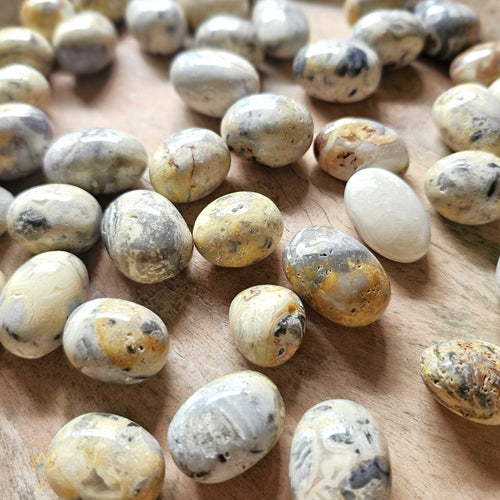 Crazy Lace Agate Tumbled Stones