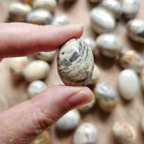 Crazy Lace Agate Tumbled Stones