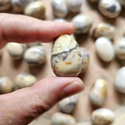 Crazy Lace Agate Tumbled Stones