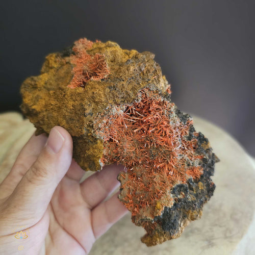 Crocoite | Specimen 276gms