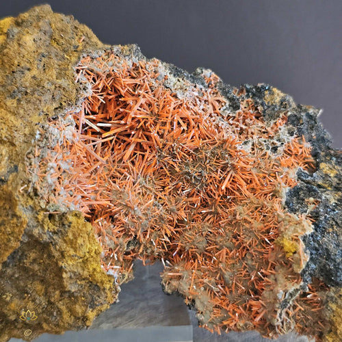 Crocoite | Specimen 276gms