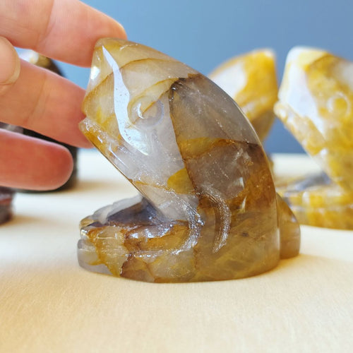 Crystal Sharks | Carvings