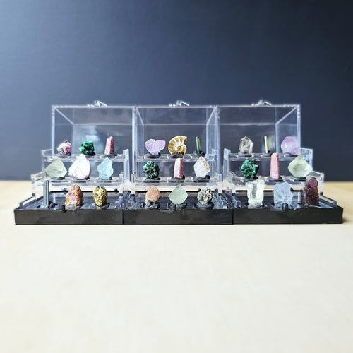 Crystal Specimen Box | Grand Specimen Collection