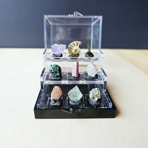 Crystal Specimen Box | Grand Specimen Collection