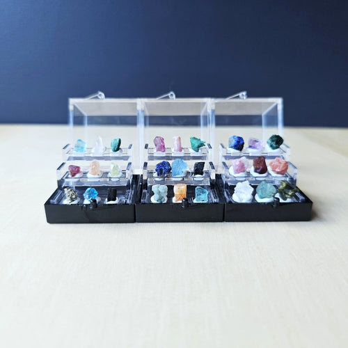 Crystal Specimen Box | Petite Specimen Collection
