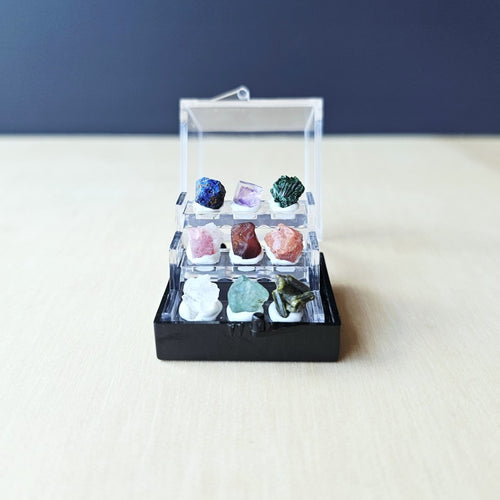 Crystal Specimen Box | Petite Specimen Collection