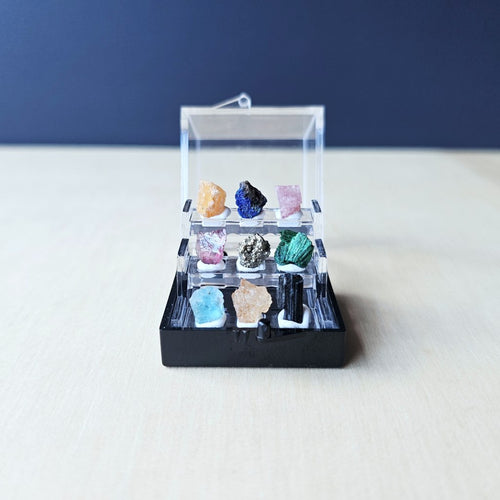 Crystal Specimen Box | Petite Specimen Collection
