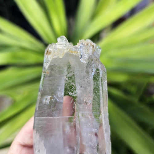 DT Twin Point Lemurian Quartz | Rainbow Ascension