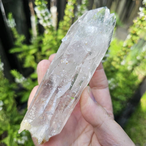 DT Twin Point Lemurian Quartz | Rainbow Ascension