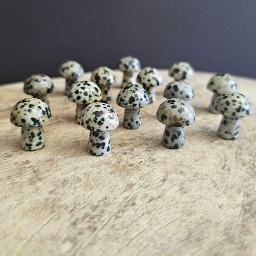 Dalmation Jasper Mini Mushrooms