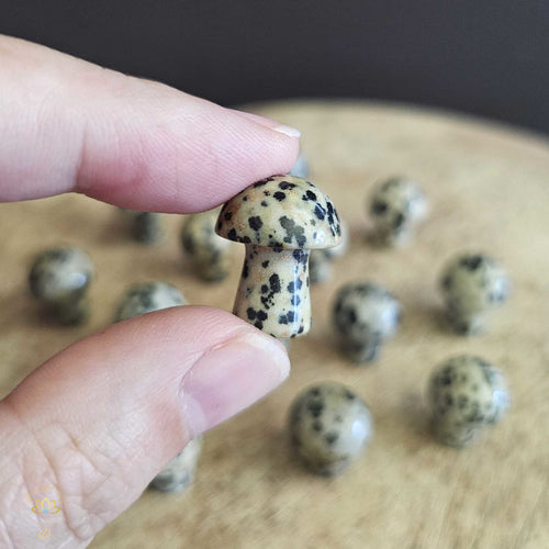 Dalmation Jasper Mini Mushrooms