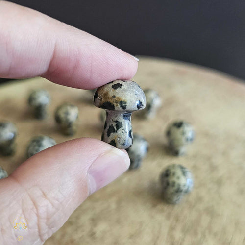 Dalmation Jasper Mini Mushrooms