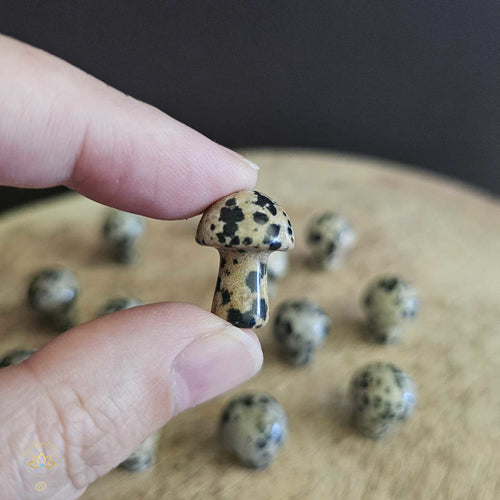 Dalmation Jasper Mini Mushrooms