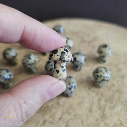 Dalmation Jasper Mini Mushrooms