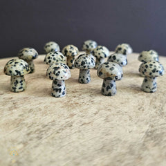 Dalmation Jasper Mini Mushrooms