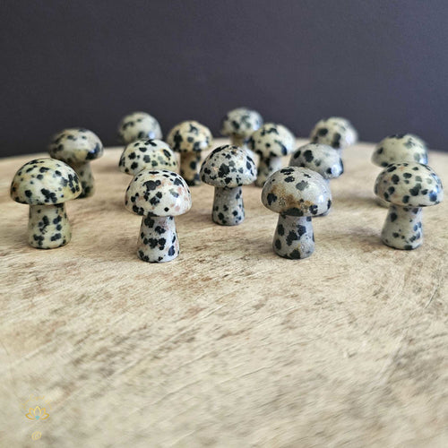 Dalmation Jasper Mini Mushrooms