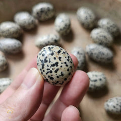 Dalmation Jasper Tumbled Stones