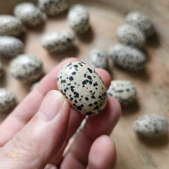 Dalmation Jasper Tumbled Stones