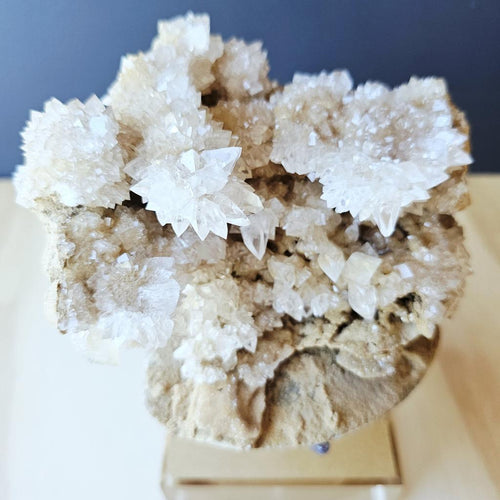 Dogtooth Calcite Stalactite Specimen | The Ascended Layer