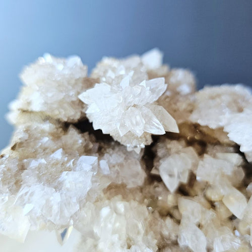 Dogtooth Calcite Stalactite Specimen | The Ascended Layer