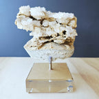 Dogtooth Calcite Stalactite Specimen | The Ascended Layer