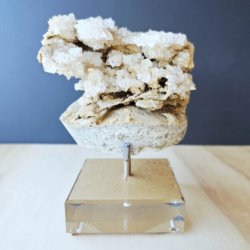 Dogtooth Calcite Stalactite Specimen | The Ascended Layer