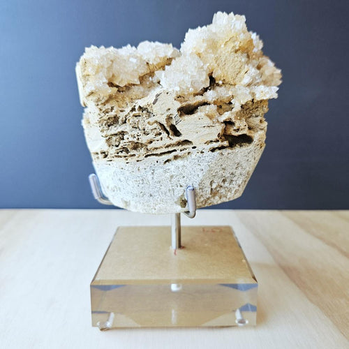 Dogtooth Calcite Stalactite Specimen | The Ascended Layer