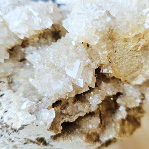 Dogtooth Calcite Stalactite Specimen | The Ascended Layer