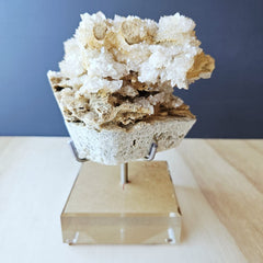 Dogtooth Calcite Stalactite Specimen | The Ascended Layer