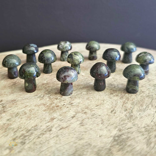 Dragon Blood Jasper Mini Mushrooms