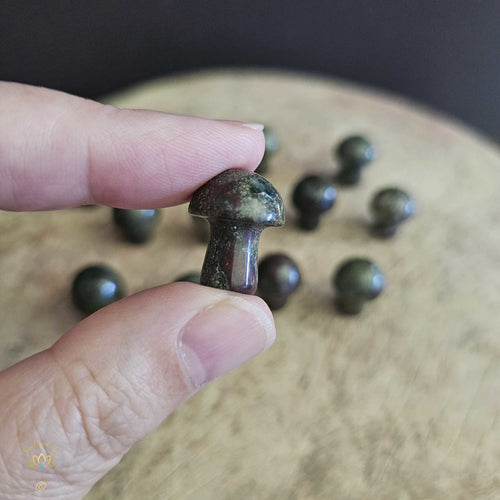 Dragon Blood Jasper Mini Mushrooms