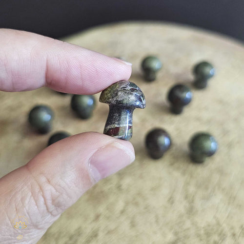 Dragon Blood Jasper Mini Mushrooms