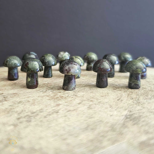 Dragon Blood Jasper Mini Mushrooms