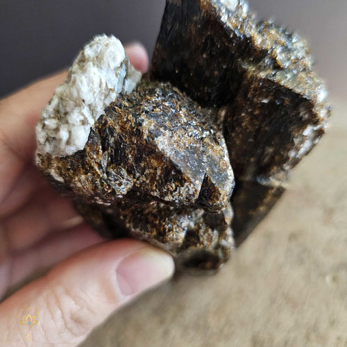 Dravite with Golden Mica | Specimen  578gms