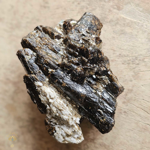 Dravite with Golden Mica | Specimen  578gms