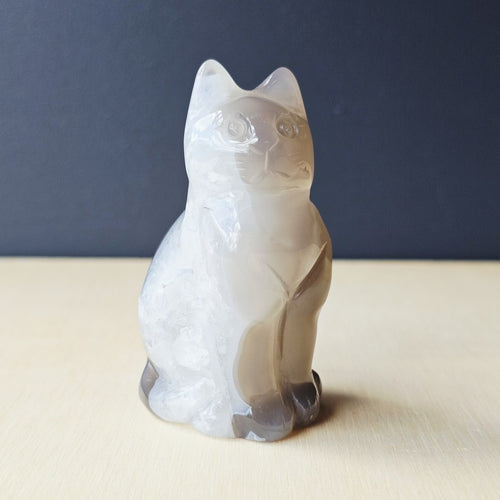 Druzy Agate Cat | Mystic Whiskers 132gms