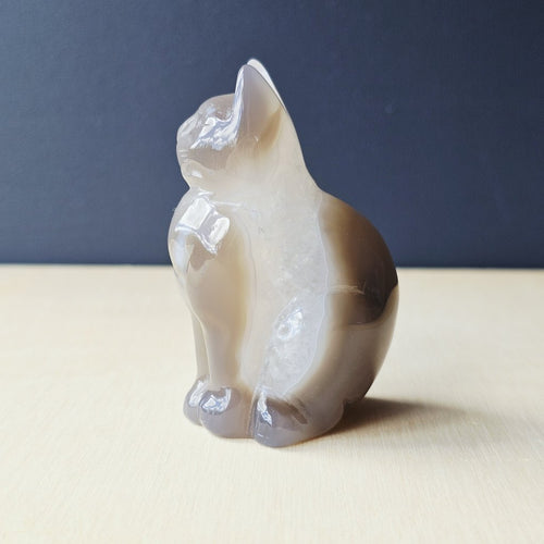 Druzy Agate Cat | Mystic Whiskers 132gms
