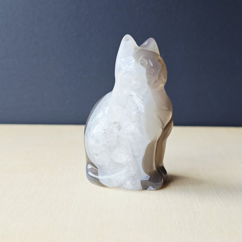 Druzy Agate Cat | Mystic Whiskers 132gms