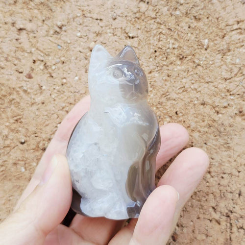 Druzy Agate Cat | Mystic Whiskers 132gms