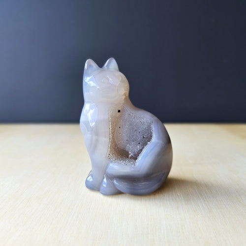 Druzy Agate Cat | Mystic Whiskers 136gms