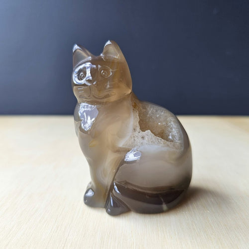 Druzy Agate Cat | Mystic Whiskers 161gms