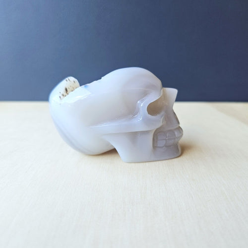 Druzy Agate Skull | Crystal Cave Guardian