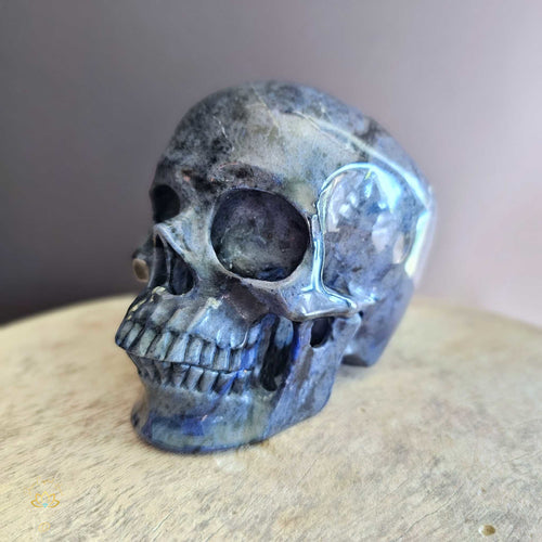 Dumortierite Skull | Guardian Of Higher Wisdom