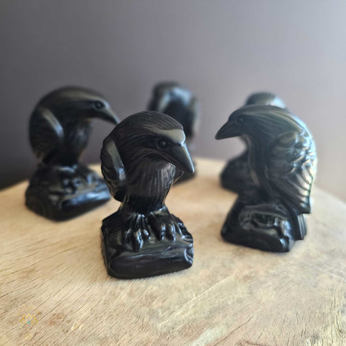 Elder Ravens | Black Obsidian