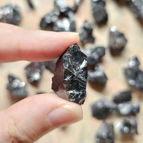 Elite Shungite | Small Rough