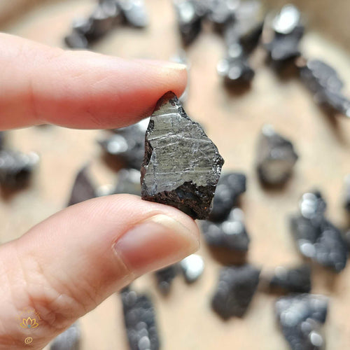 Elite Shungite | Small Rough