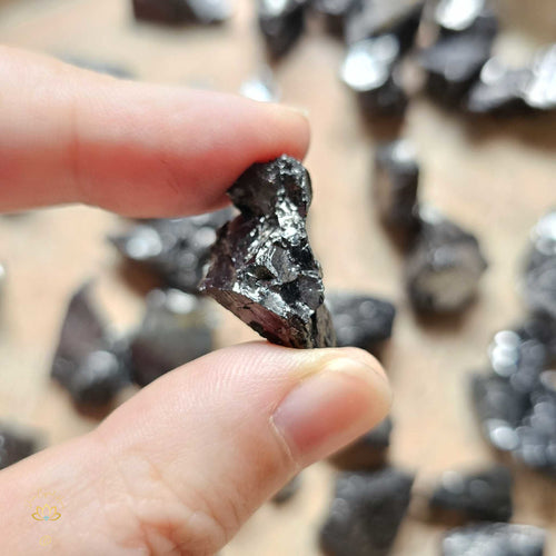 Elite Shungite | Small Rough