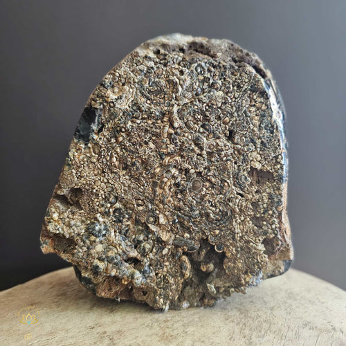 Extra Druzy Chalcedony | Specimen 2.7kgs