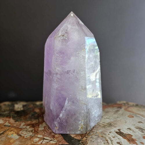 Extra Large Amethyst With Enhydro